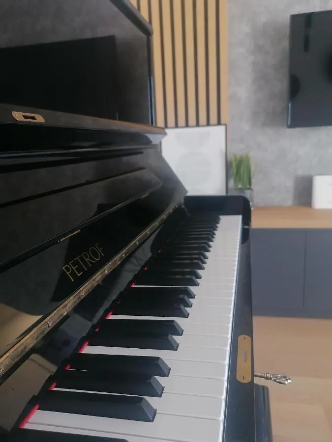 Piano Penthouse Apartment location